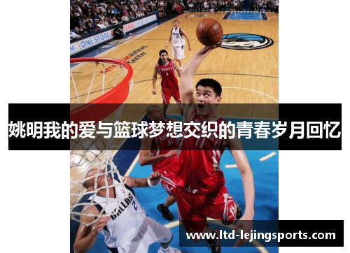 姚明我的爱与篮球梦想交织的青春岁月回忆